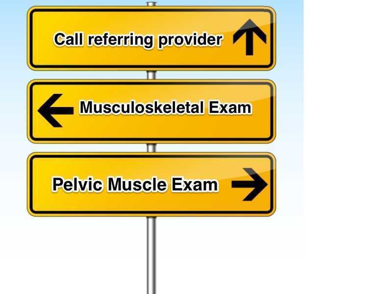 Musculoskeletal Screening Model for Pelvic Pain
